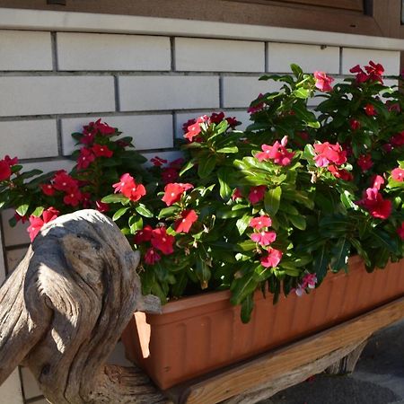 Apartma Zala Most na Soči Exterior foto
